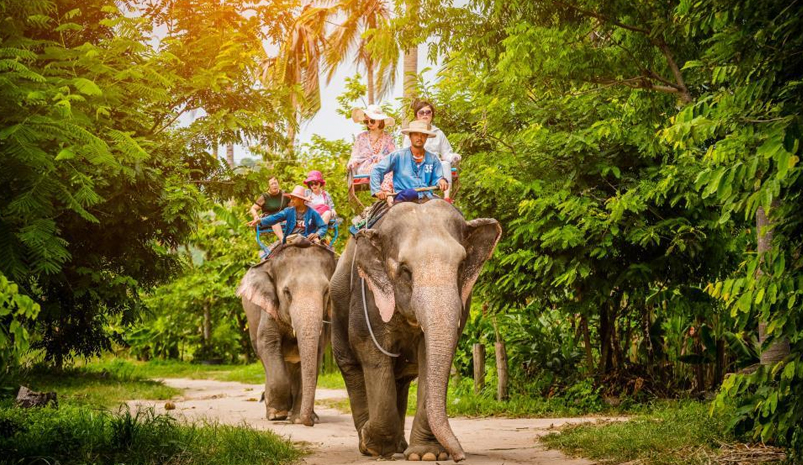 Elephant Safari Village Tour