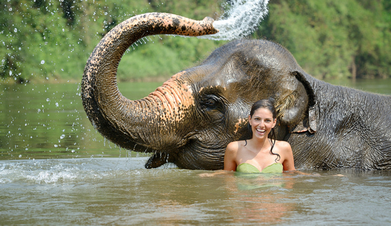 Elephant Safari Village Tour